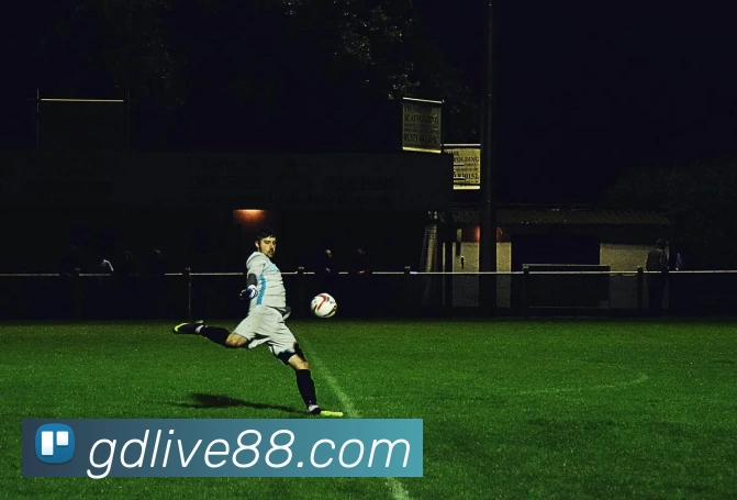 高德娱乐官网APP 体育赛事宣传图