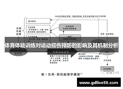 体育体能训练对运动损伤预防的影响及其机制分析